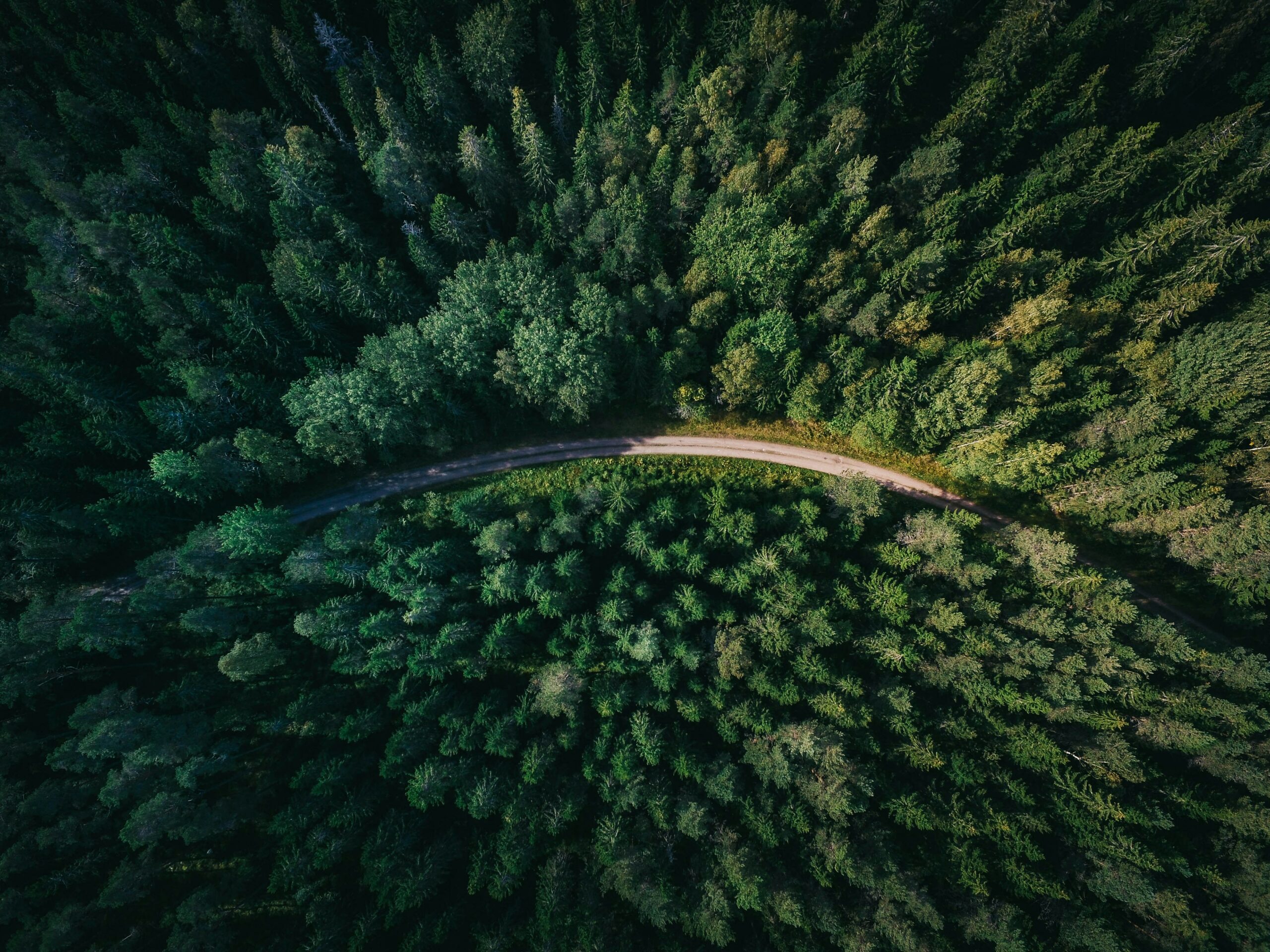 Viaje hacia la mitigación climática en el sector financiero